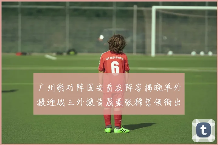 广州豹对阵国安首发阵容揭晓单外援迎战三外援黄晟豪张稀哲领衔出战