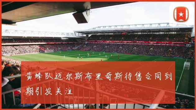 黄蜂队迈尔斯布里奇斯待售合同到期引发关注